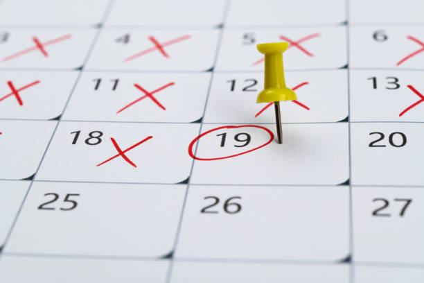 istockphoto 2060724190 612x612 1
